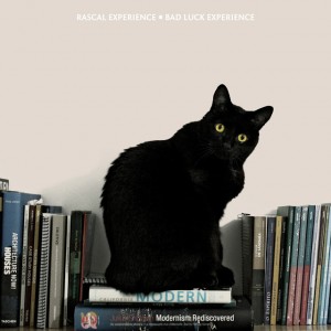 Capa: Rascal Experience