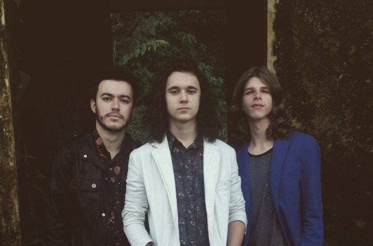 canibaisvegetarianos-rifferama