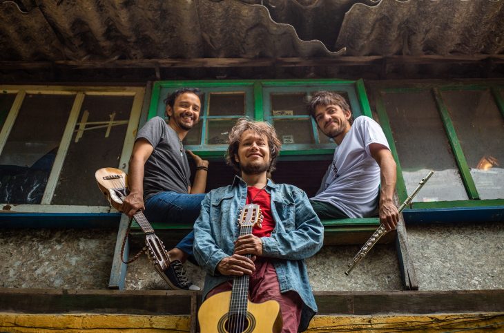 novocodigogenetico-rifferama