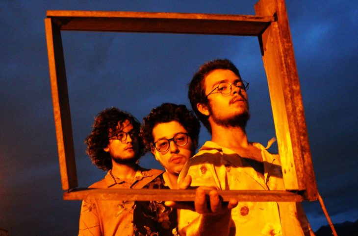 iguanastropicais-rifferama