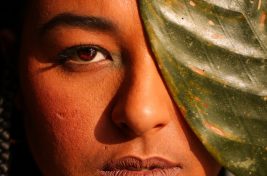 anisdeflor-rifferama