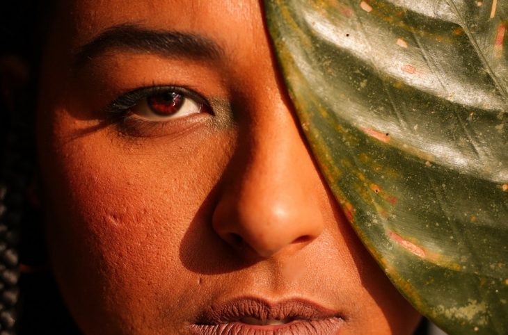 anisdeflor-rifferama