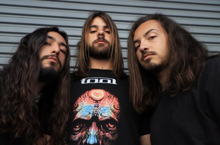 deadjunglesledge-rifferama