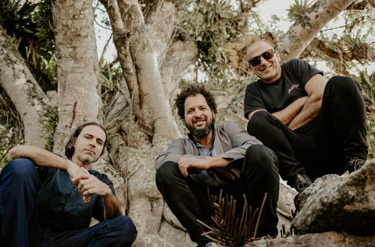 musicaorganica-rifferama