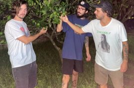 quazimorto-rifferama